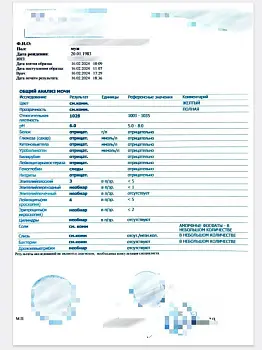 Купите общий анализ мочи (формы 210/у). В Москве.